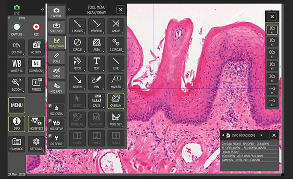 Application software for Microscope Camera Control Unit DS-L4